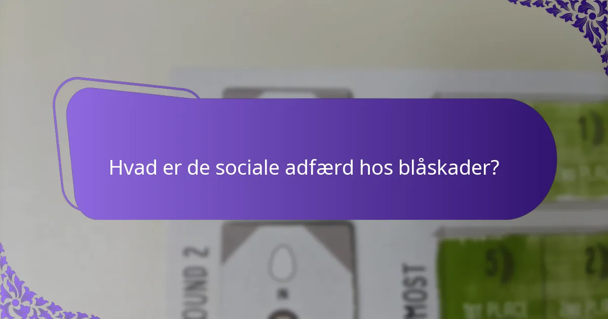 Hvor lever blåskader typisk?