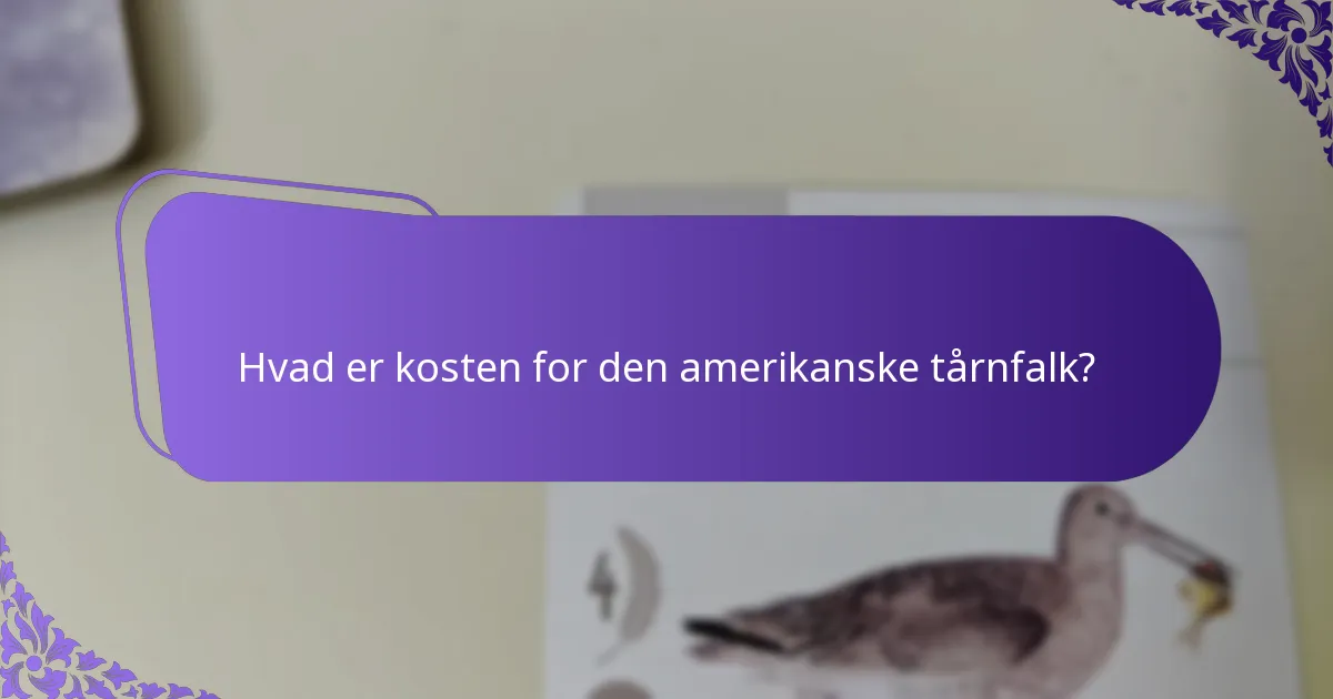 Hvor lever den amerikanske tårnfalk typisk?