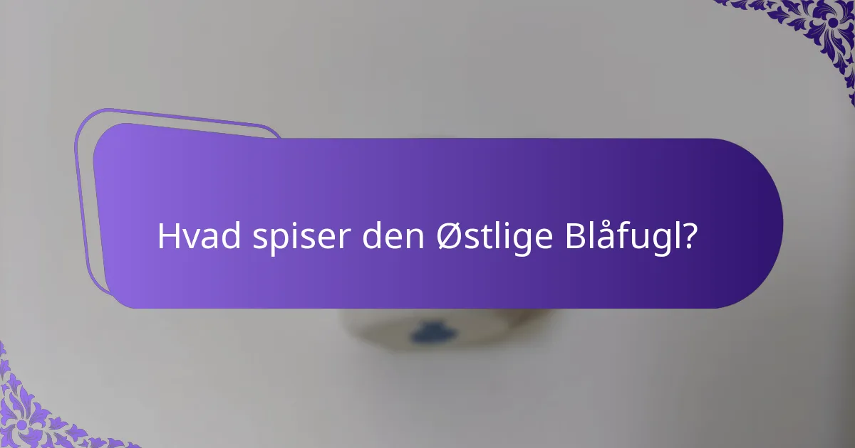 Hvad spiser den Østlige Blåfugl?