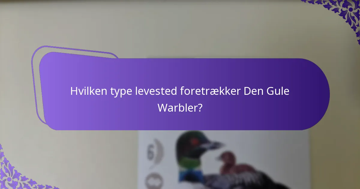 Hvordan lyder sangen fra Den Gule Warbler?