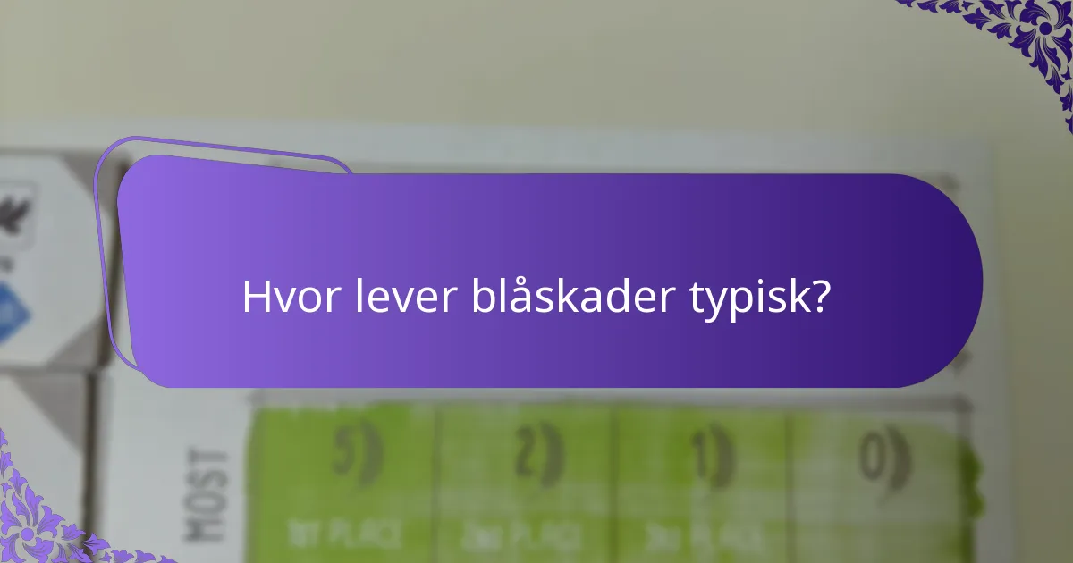 Hvilke trusler står blåskader over for i deres levesteder?