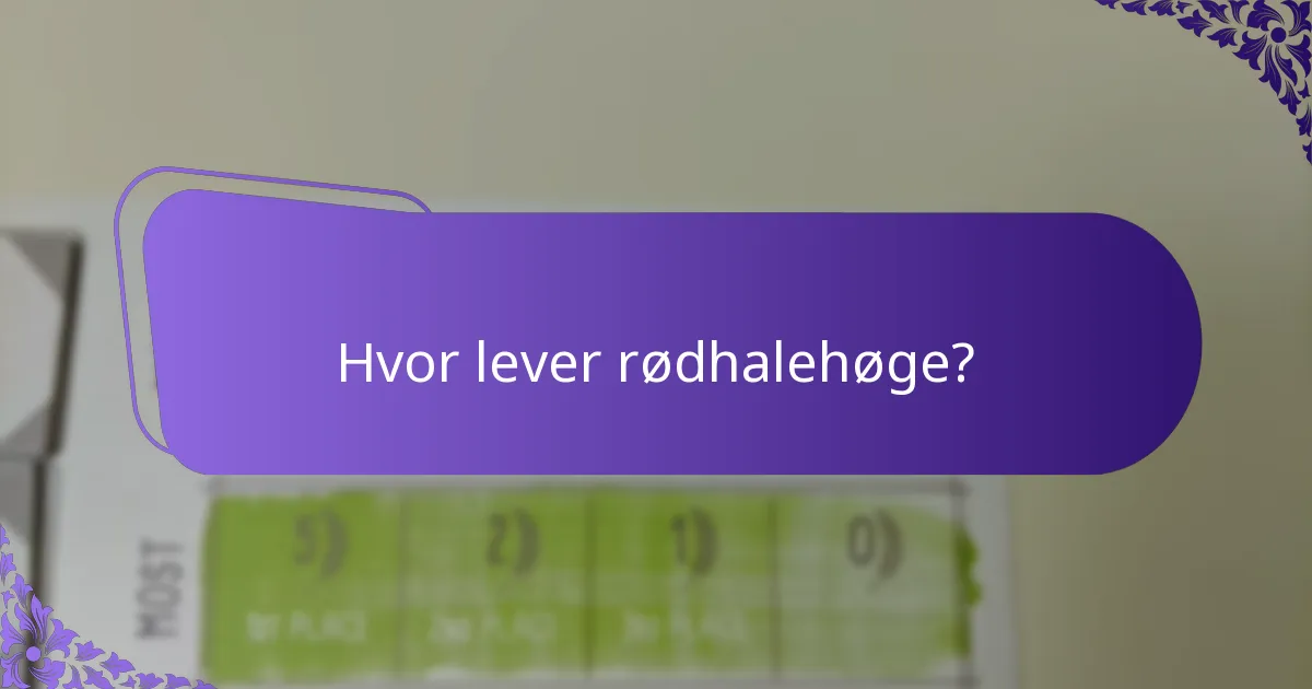 Hvad er forskellene i jagtteknikker blandt høgearter?