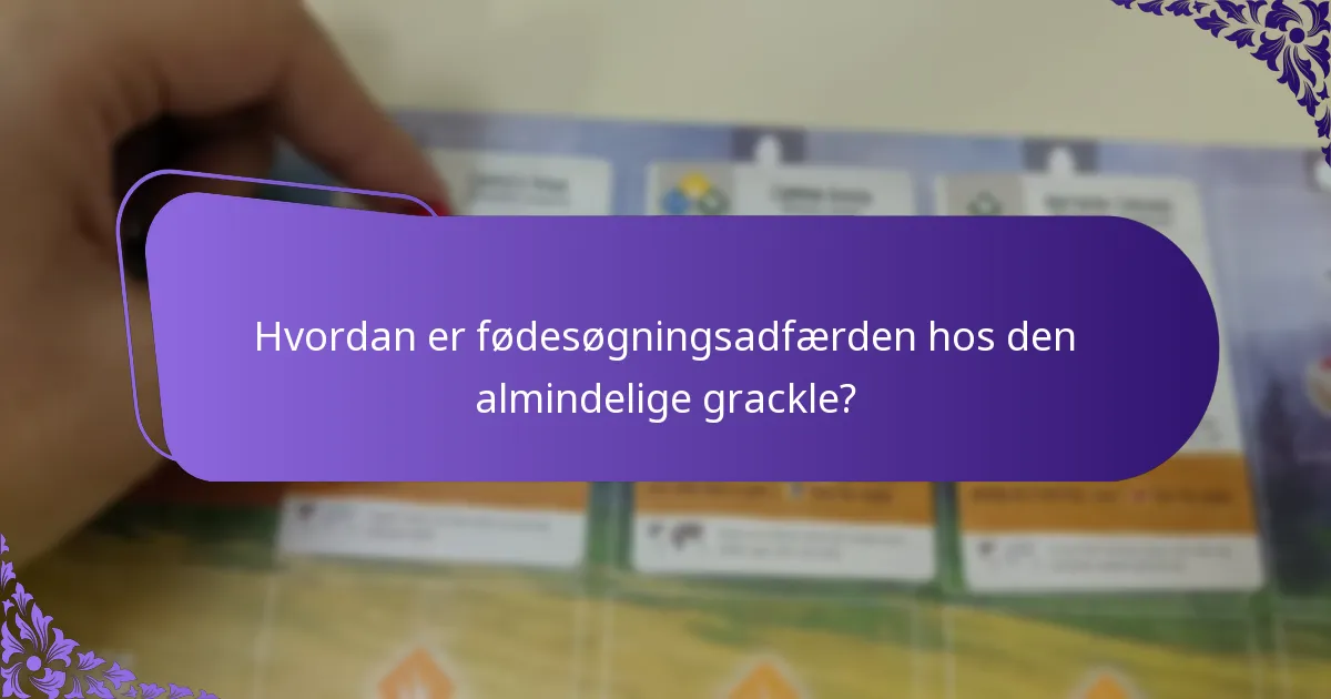 Hvordan er ynglevaner hos den almindelige grackle?