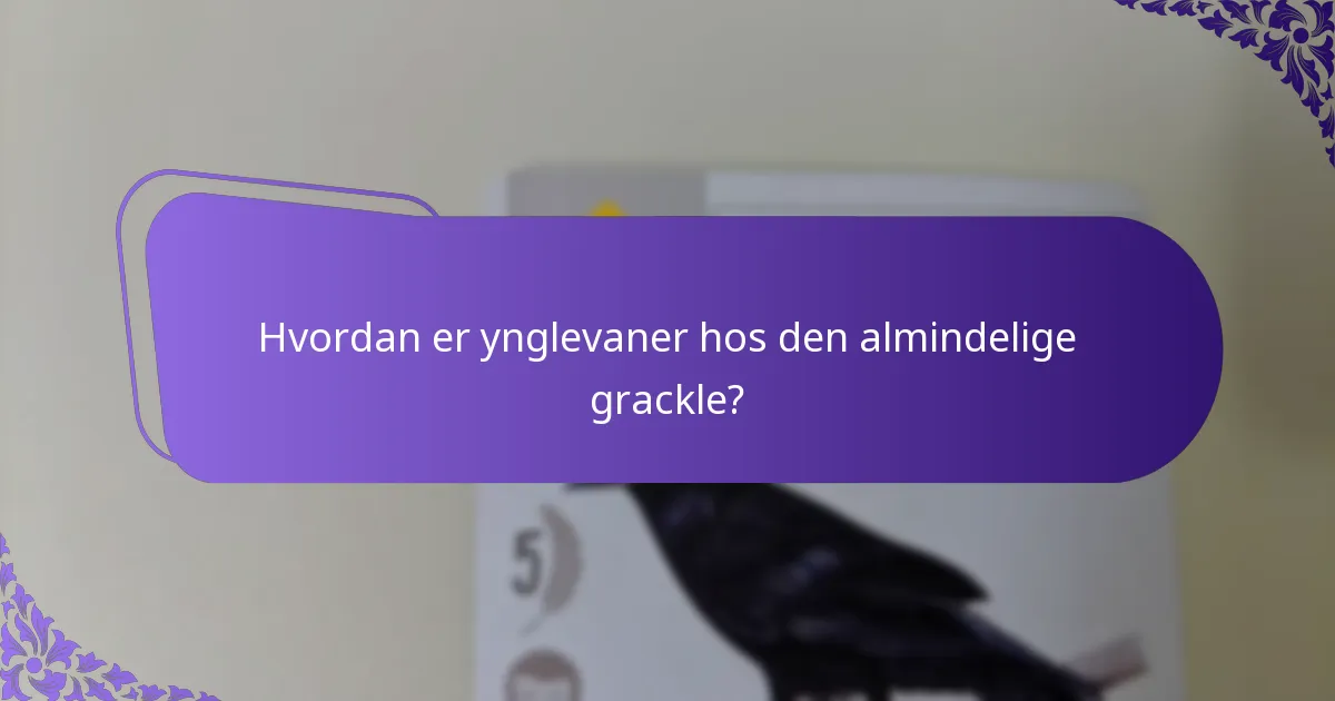 Hvordan tilpasser almindelige grackler sig miljøændringer?