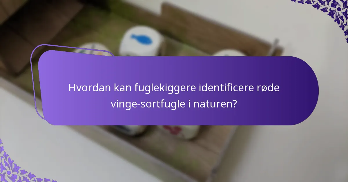 Hvordan kan fuglekiggere identificere røde vinge-sortfugle i naturen?